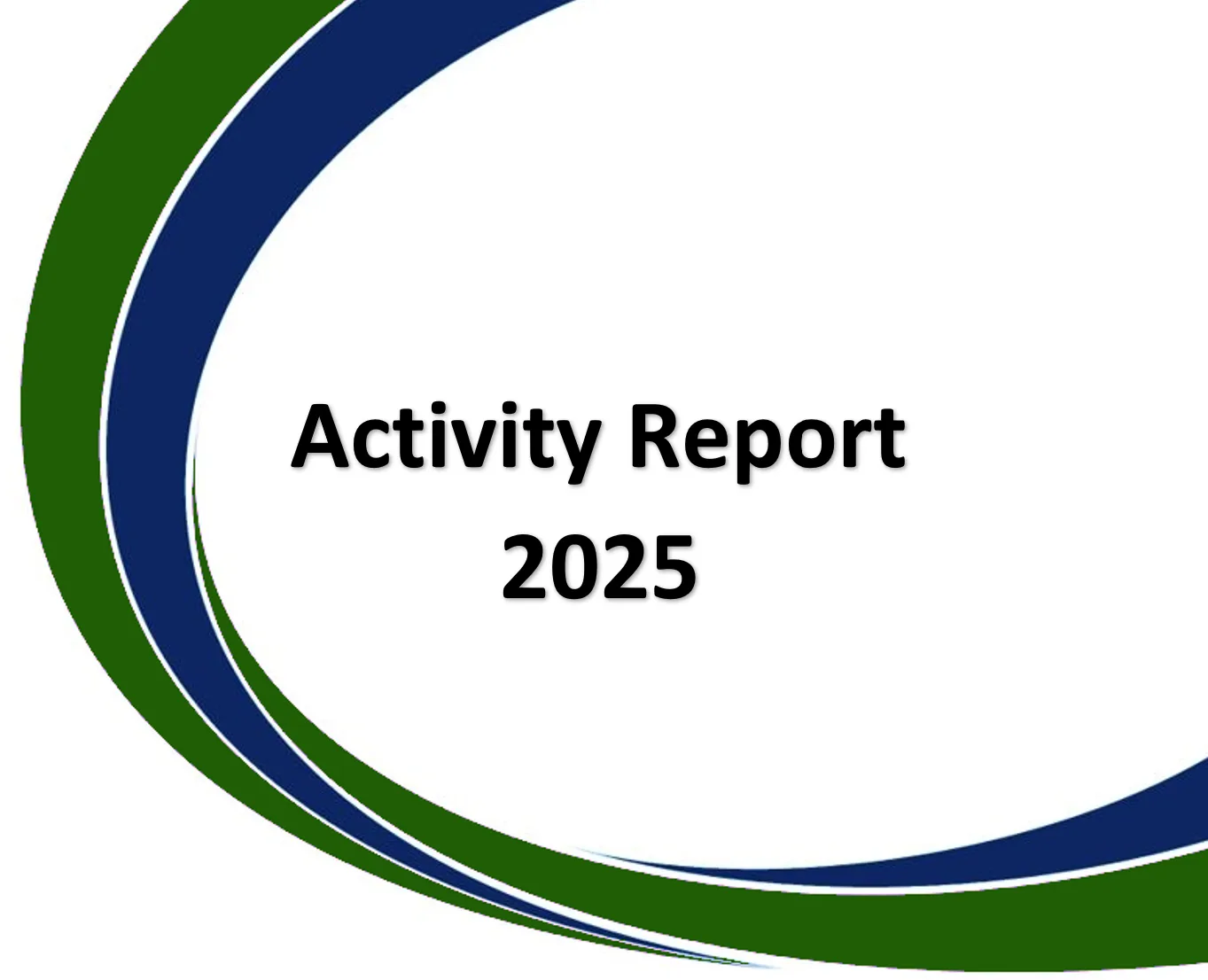 Activity Report 2025